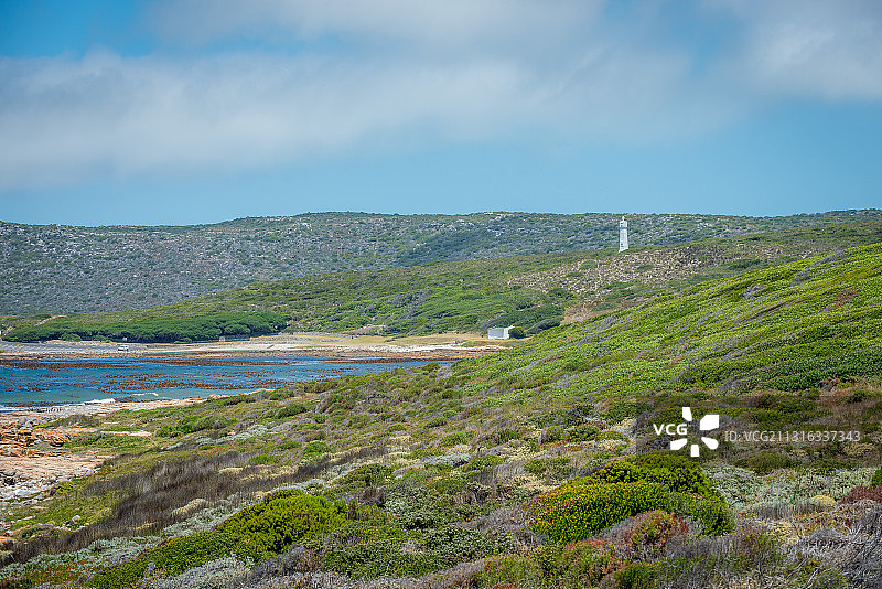 好望角自然保护区风光图片素材