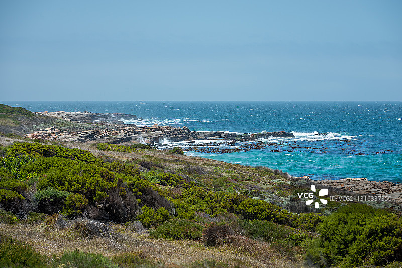 好望角自然保护区风光图片素材