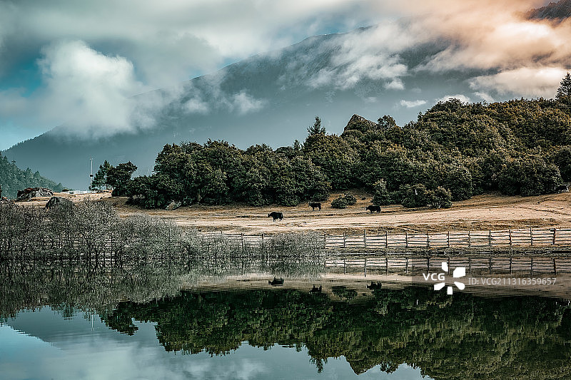 西藏鲁朗风光图片素材