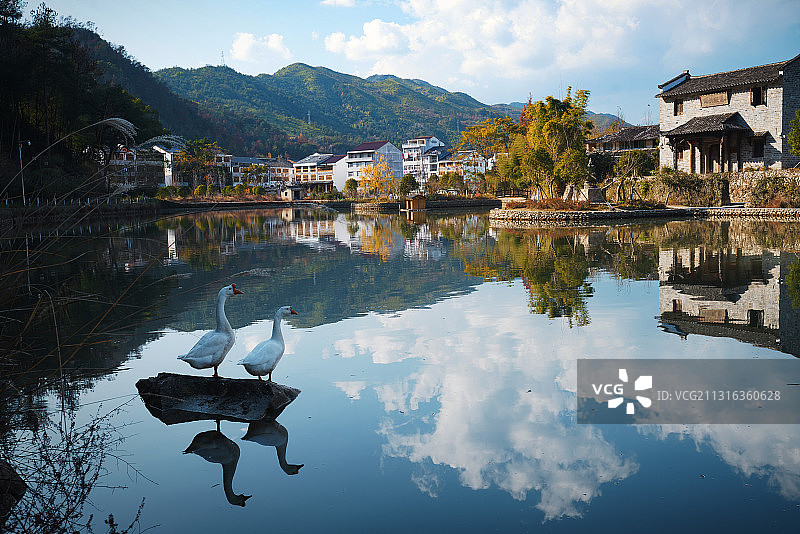 午后时光图片素材