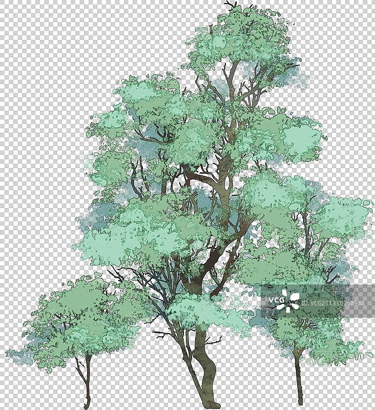 树元素图片素材