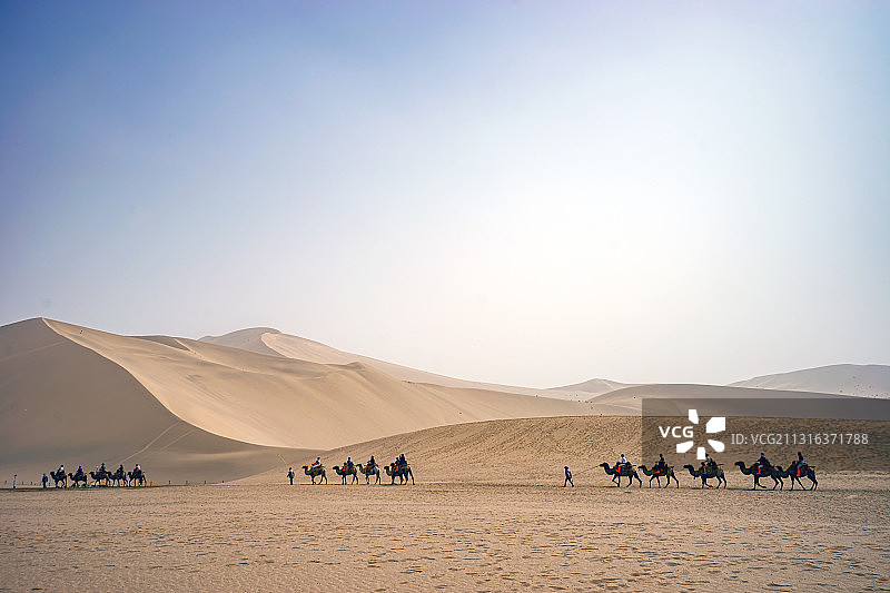 鸣沙山的驼队图片素材