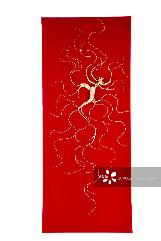 人参,野山参,林下参,参须,露头,中草药,补品,炖鸡,干参,图片素材