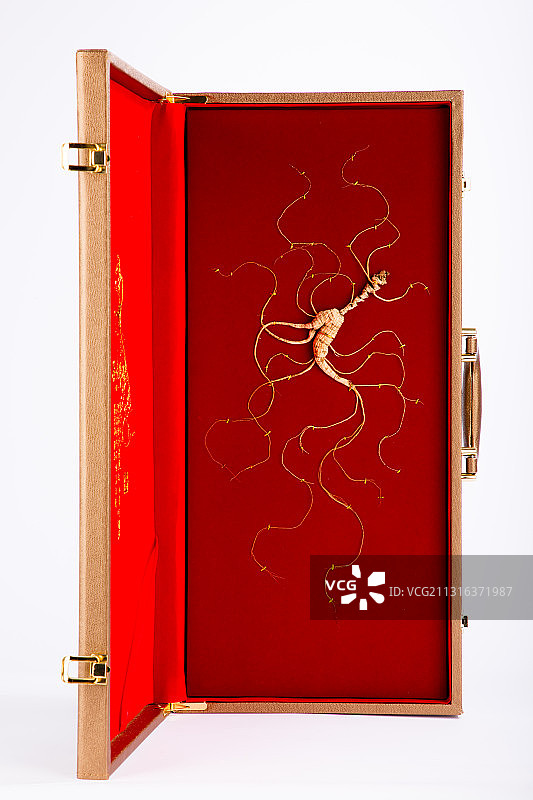 人参,野山参,林下参,参须,露头,中草药,补品,炖鸡,干参,图片素材