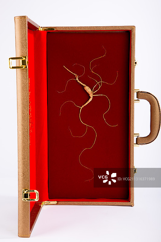 人参,野山参,林下参,参须,露头,中草药,补品,炖鸡,干参,图片素材