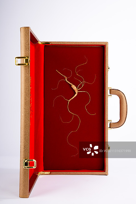 人参,野山参,林下参,参须,露头,中草药,补品,炖鸡,干参,图片素材