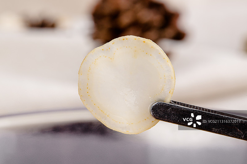 人参,野山参,林下参,参须,露头,中草药,补品,炖鸡,干参,图片素材