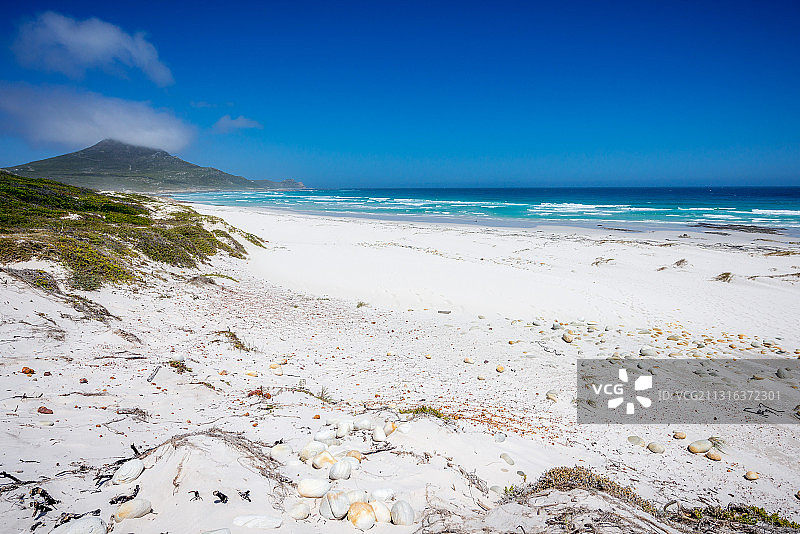 好望角自然保护区美丽的孤独海滩图片素材