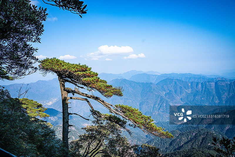 三清山胜景迎客松图片素材