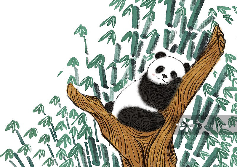 大熊猫图片素材