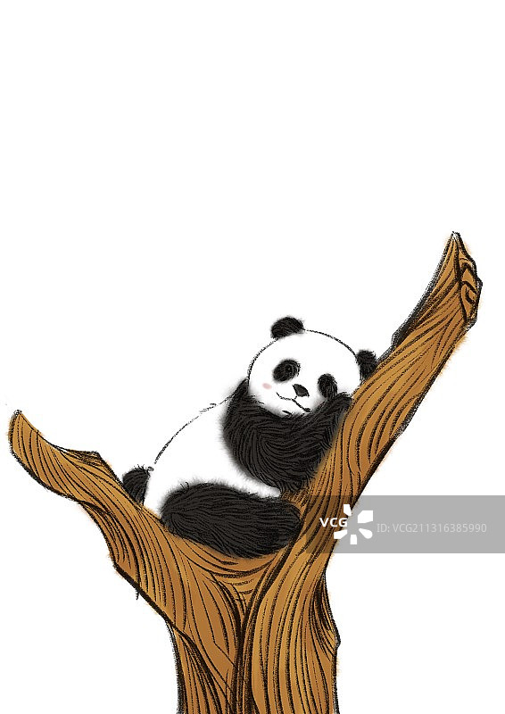 大熊猫图片素材
