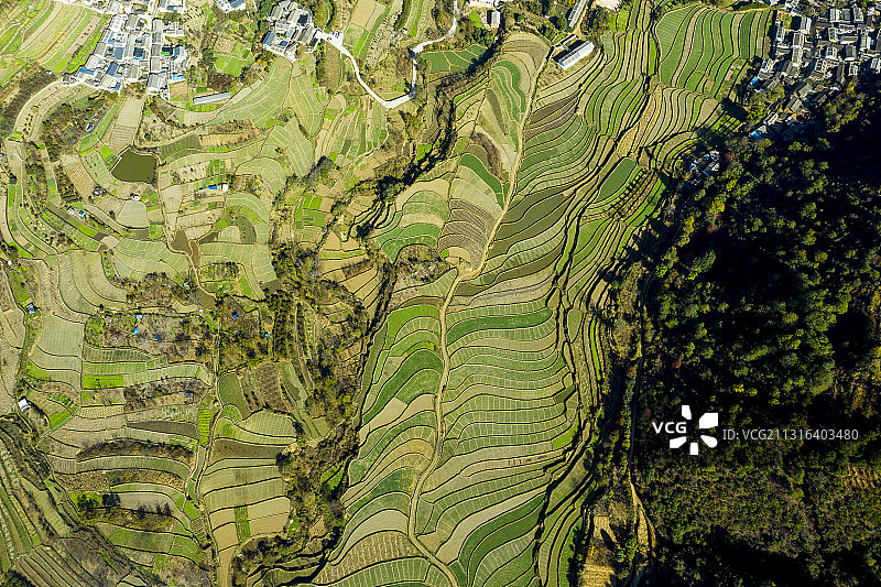 山谷 农田 乡村图片素材