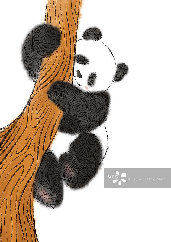 大熊猫图片素材