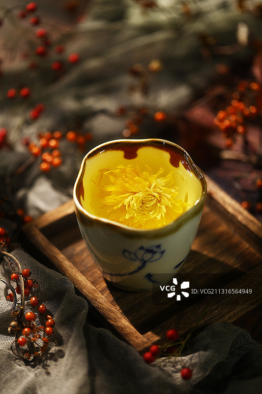 金丝皇菊茶图片素材