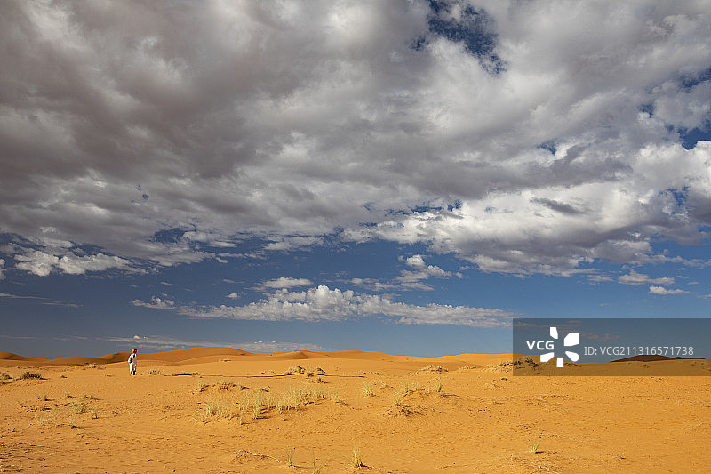 撒哈拉沙漠的早晨图片素材