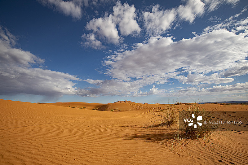 撒哈拉沙漠的早晨图片素材