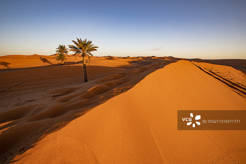 撒哈拉沙漠的早晨图片素材