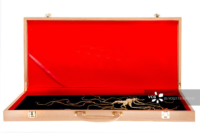 人参  野山参  林下参  参须  露头  中草药  补品图片素材