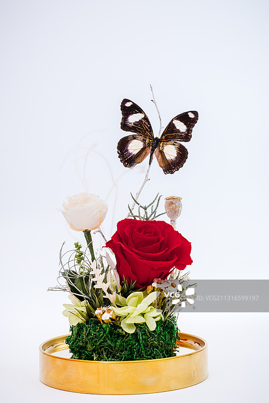 永生花 韩国 干花 玫瑰 ins 手捧花 胸花 婚礼 嘉宾图片素材