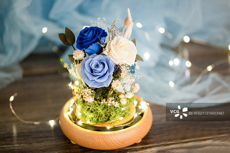 永生花 干花 玫瑰 玻璃罐 灯 唐老鸭 ins风图片素材