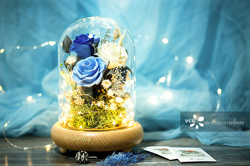 永生花 干花 玫瑰 玻璃罐 灯 唐老鸭 ins风图片素材