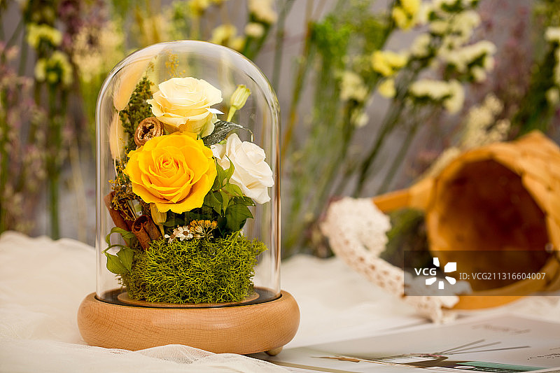 永生花 干花 玫瑰 玻璃罐 灯 唐老鸭 ins风图片素材