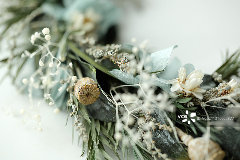 永生花 ins风 花环 草 挂件 圆形 画框 简约 欧式图片素材