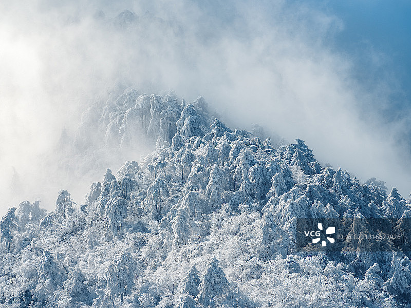 山上森林大雪过后晴空光芒云雾缭绕图片素材