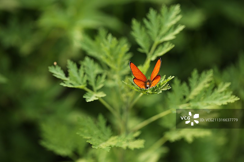 靓丽的背影图片素材