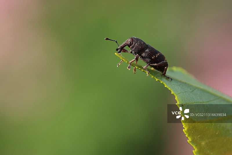 路得尽头图片素材