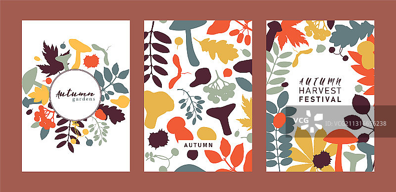 手绘彩色秋季植物设计图片素材