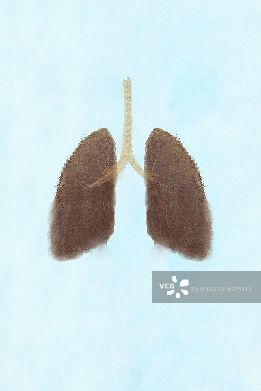 肺部水彩图片素材