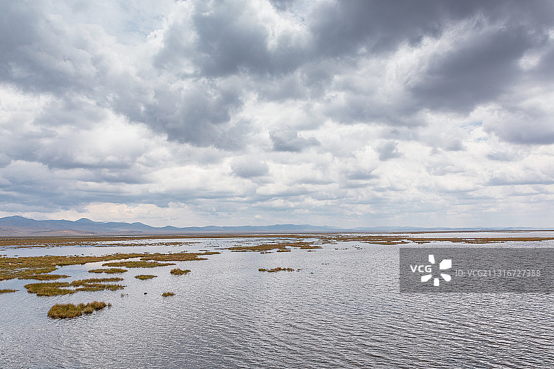 甘肃，若尔盖草原，阴天，草原，花湖，湿地图片素材