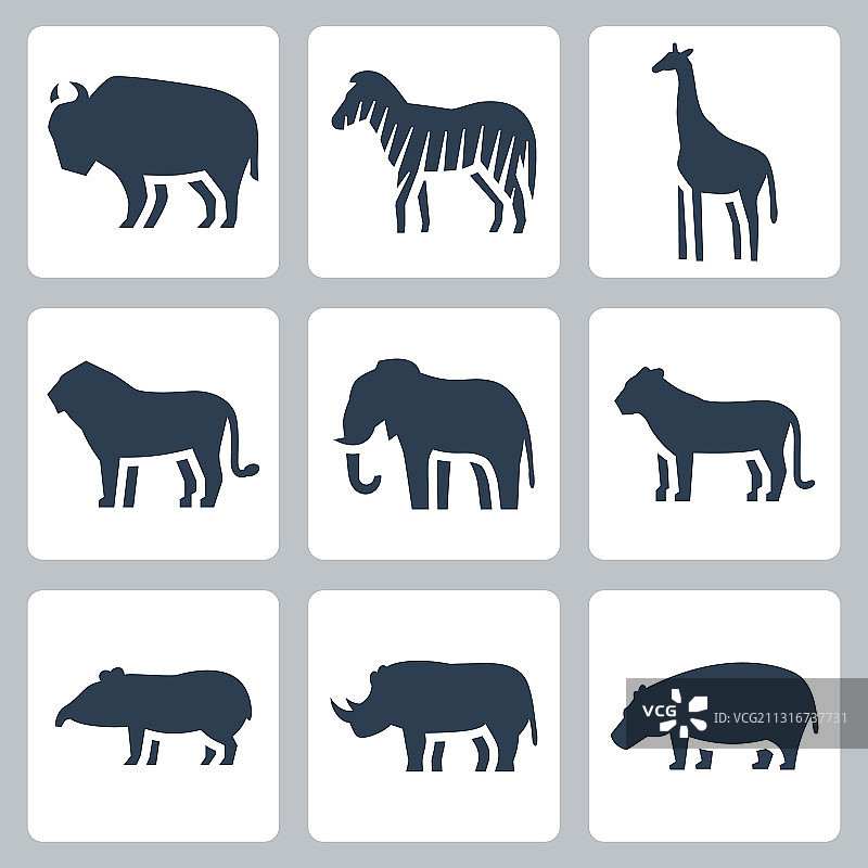 热带地区动物图标合集图片素材