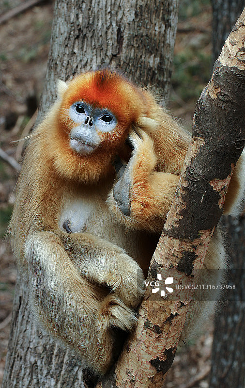 思想者图片素材