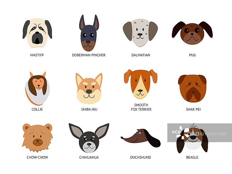 卡通狗品种套装-可爱的宠物动物头像图片素材