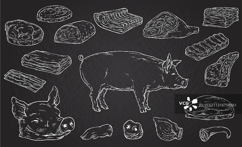 切碎的猪肉身体部位白色轮廓图片素材