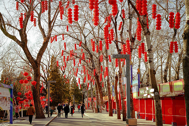 回忆春节龙潭湖公园庙会-因疫情取消（预展）2020-1-20图片素材