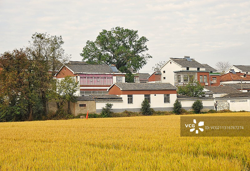 美丽乡村图片素材