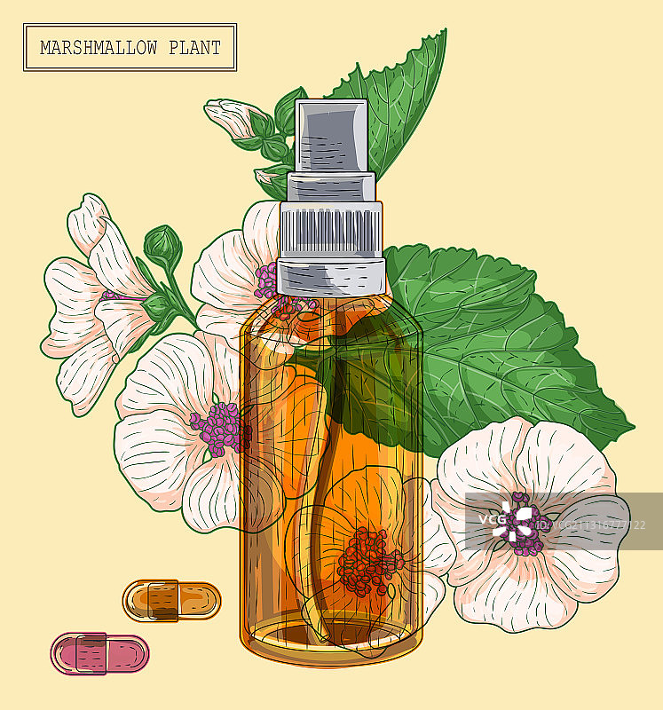 药蜀葵和棕色玻璃喷雾器图片素材