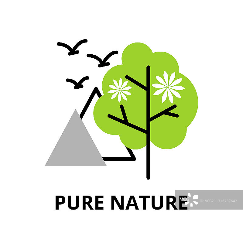 纯净自然信息图概念图片素材