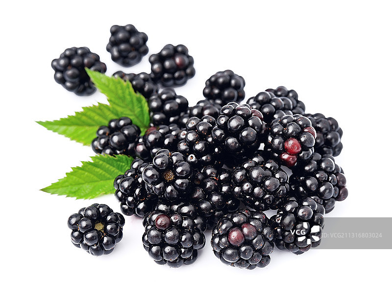 白底上的黑莓特写图片素材