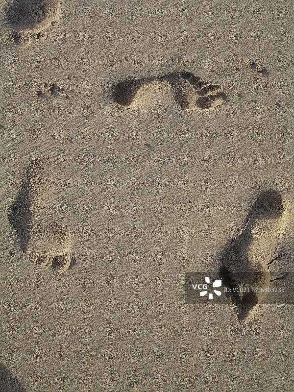 沙滩上沙滩足迹的高角度视图图片素材