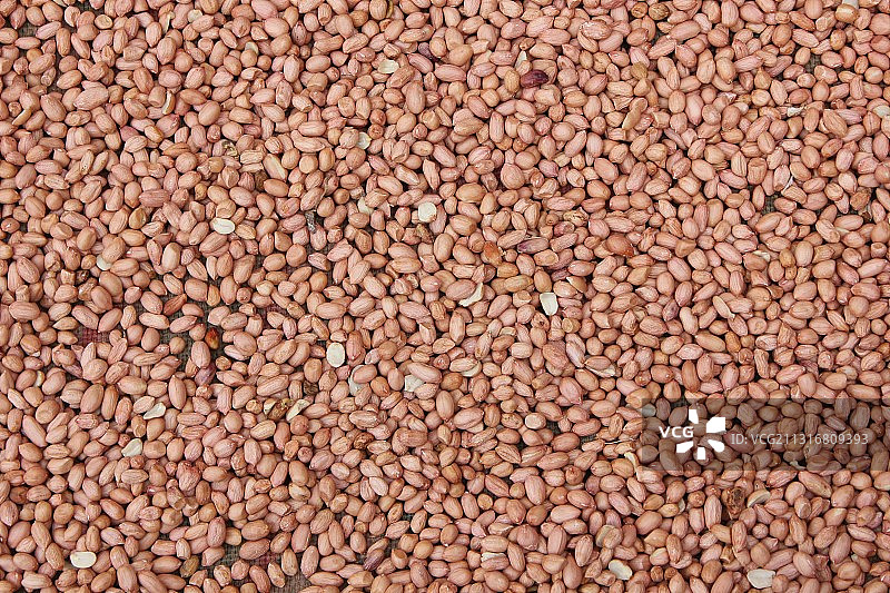 生咖啡豆全画幅特写图片素材