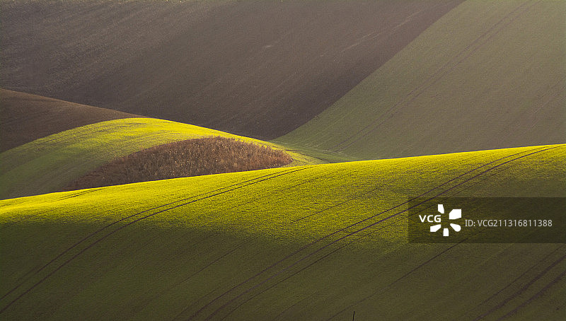 捷克共和国农业田野风光图片素材