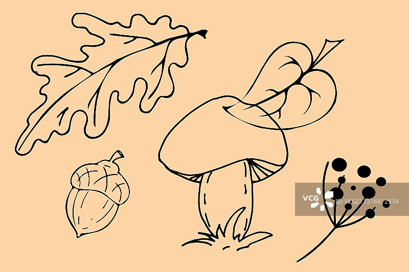 手绘秋季森林图像轮廓图片素材