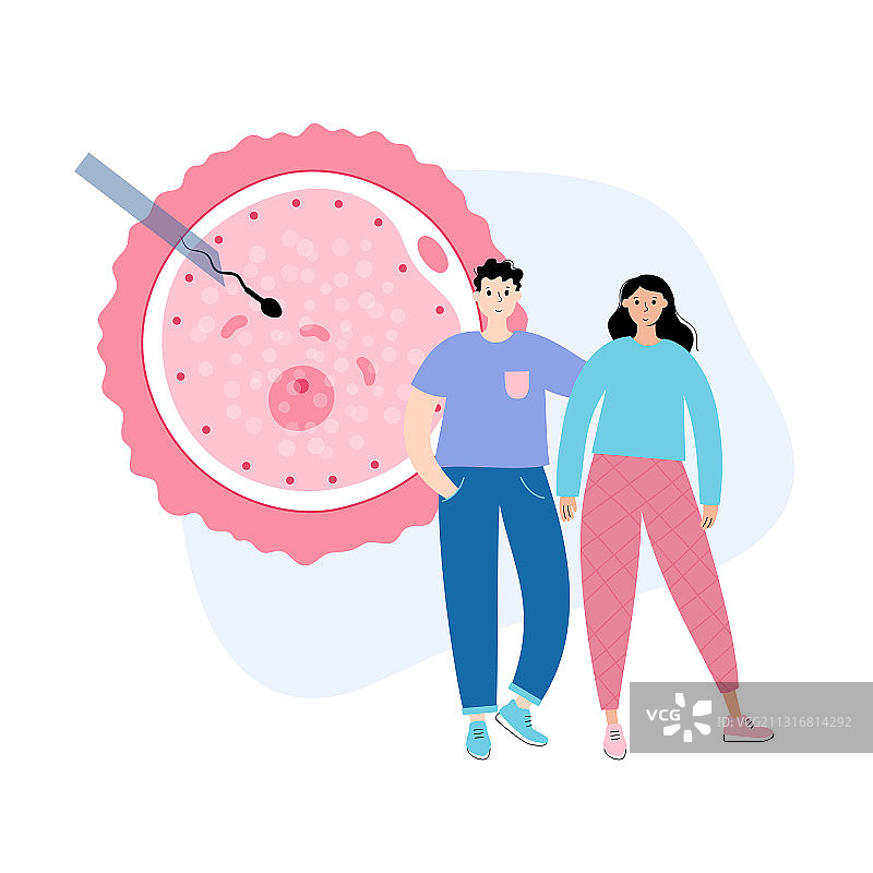 生殖系统概念图片素材