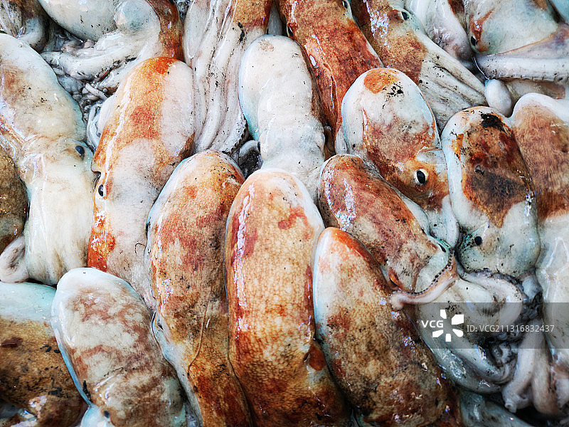 市场待售肉类全景图片素材