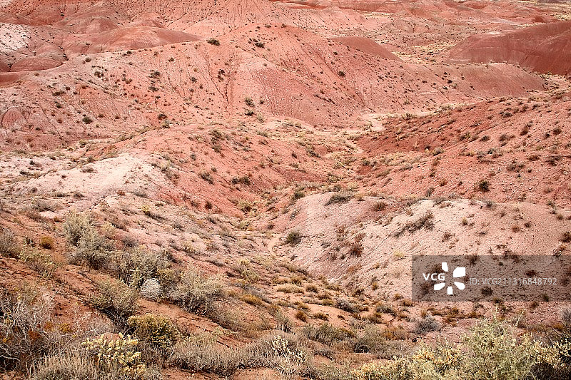 美国亚利桑那州石化林国家公园沙漠高角度景观图片素材