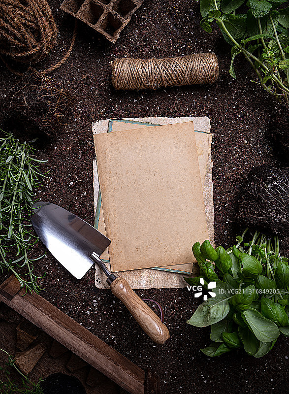 花园里的香草和工具图片素材